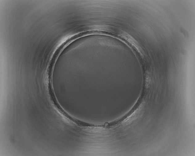 X0000116481024200912091356