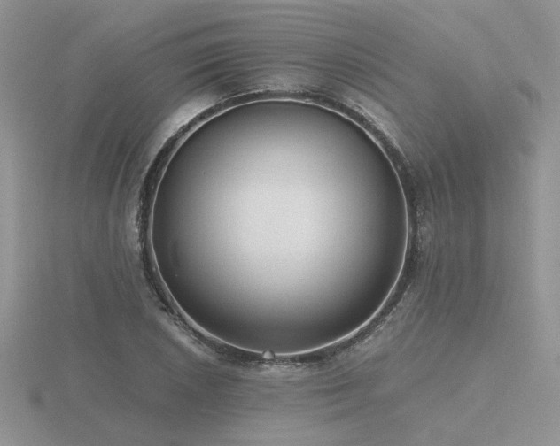 X0000116481026200912091356