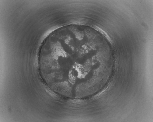 X0000116481027200912091356