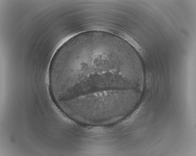 X0000116481028200912091356