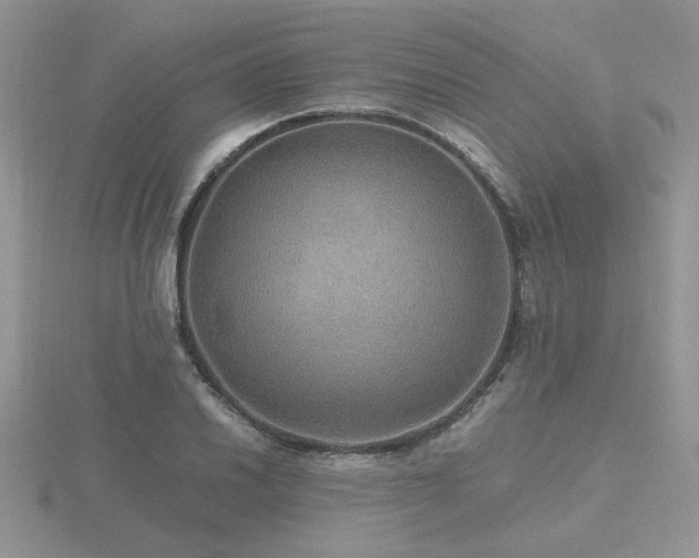 X0000116481030200912091356