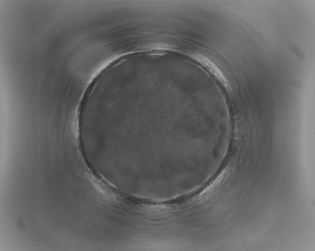 X0000116481031200912091356