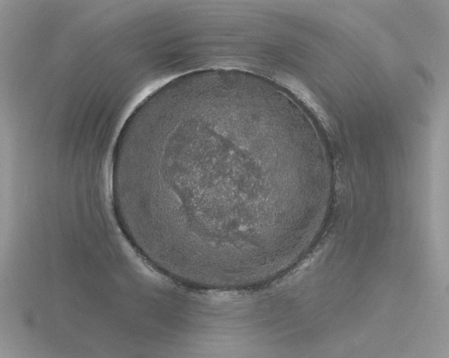 X0000116481032200912091356