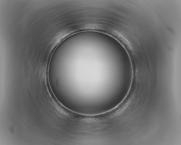 X0000116481033200912091356