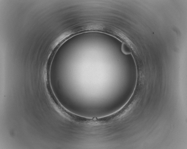 X0000116481034200912091356