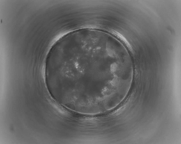 X0000116481035200912091356