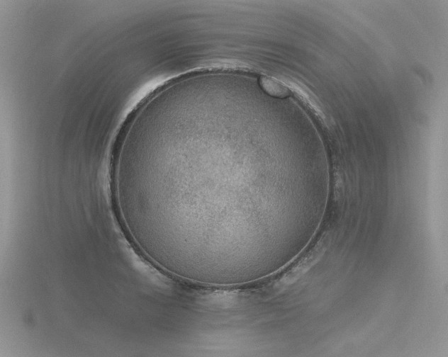 X0000116481038200912091356