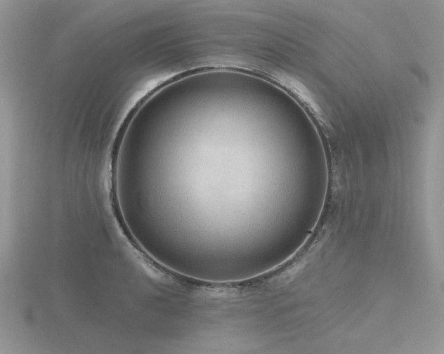 X0000116481040200912091356