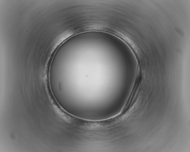 X0000116481042200912091356