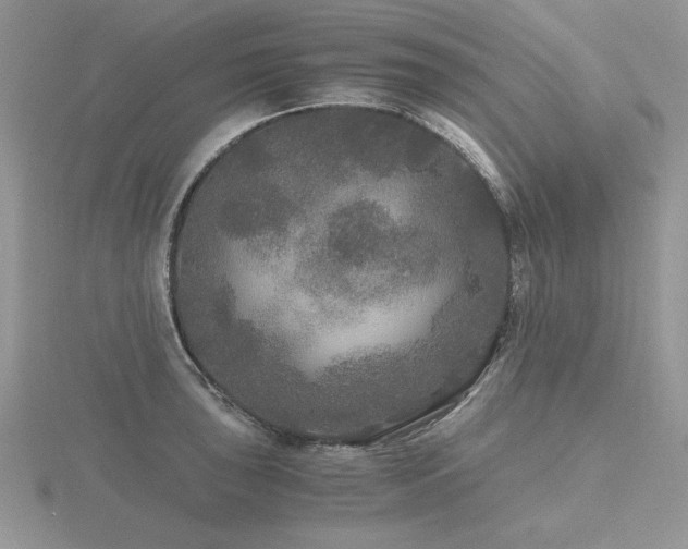 X0000116481043200912091356