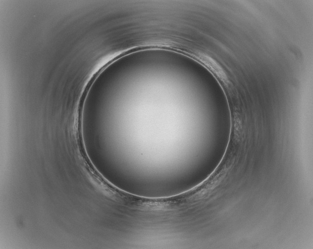 X0000116481044200912091356