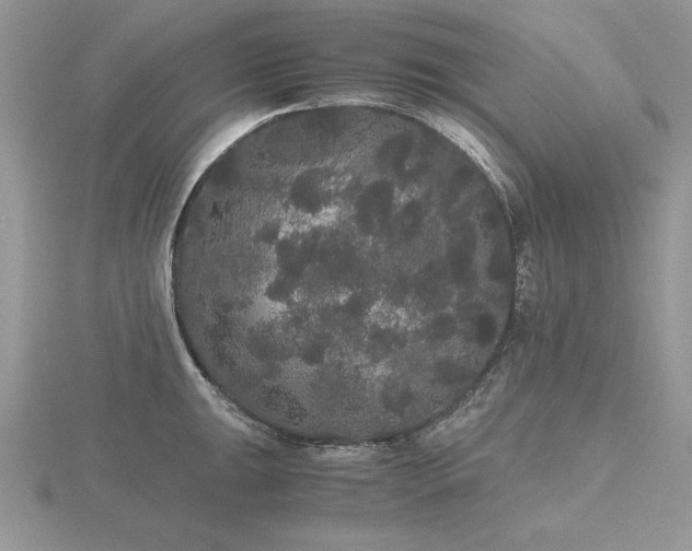 X0000116481047200912091356