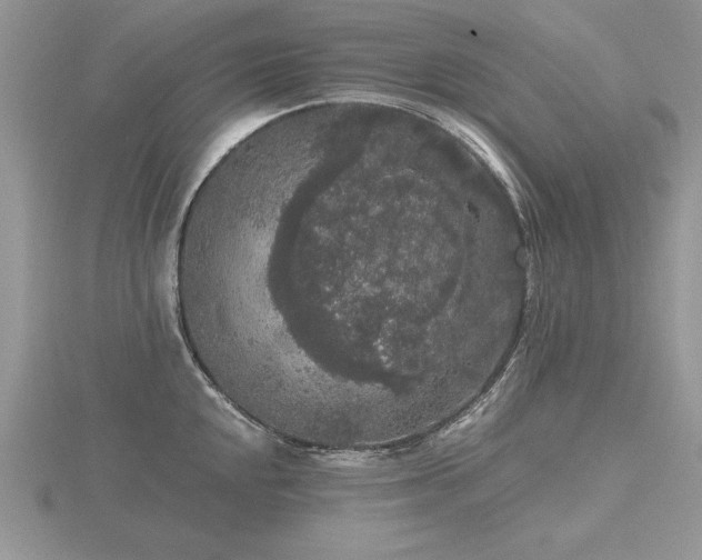 X0000116481048200912091356