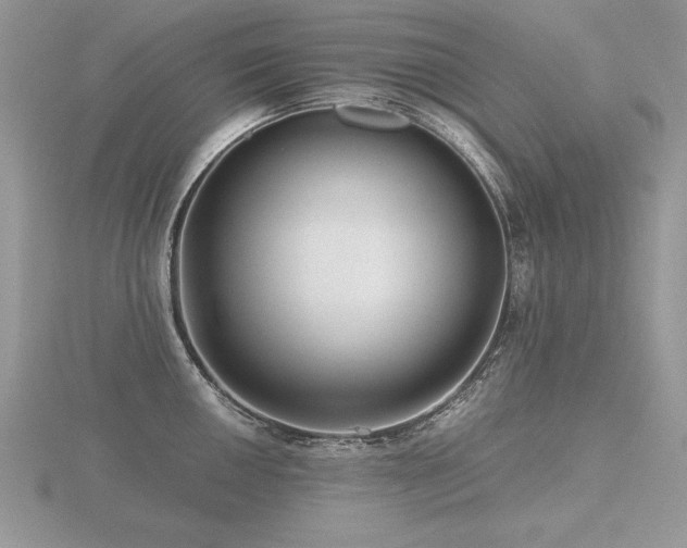 X0000116481050200912091356