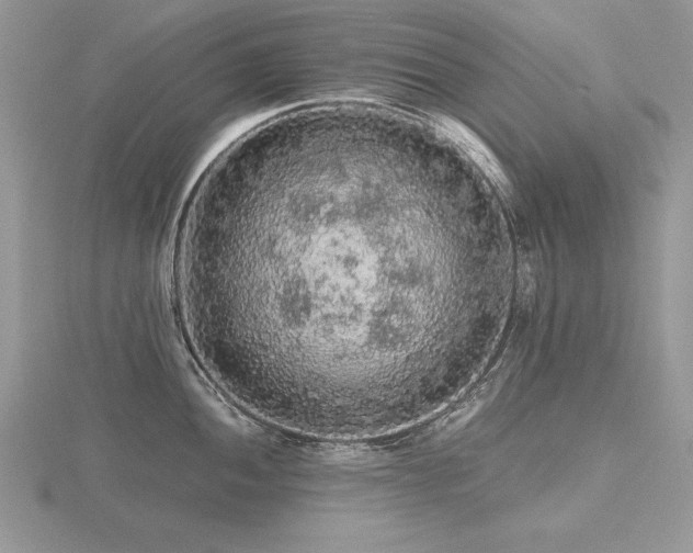 X0000116481052200912091356