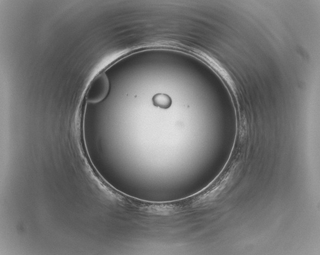 X0000116481053200912091356