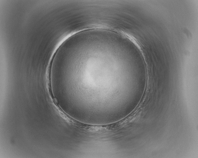 X0000116481056200912091356