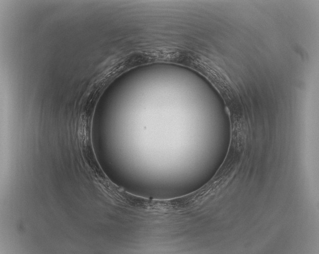 X0000116481058200912091355