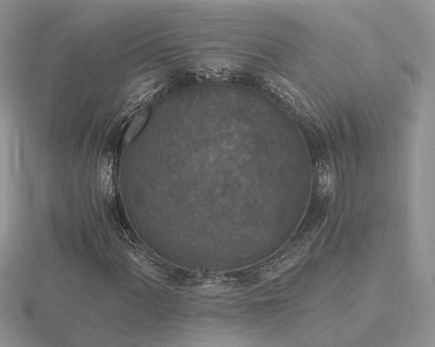 X0000116481060200912091355