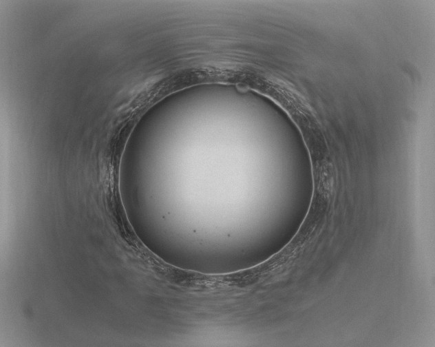 X0000116481061200912091355