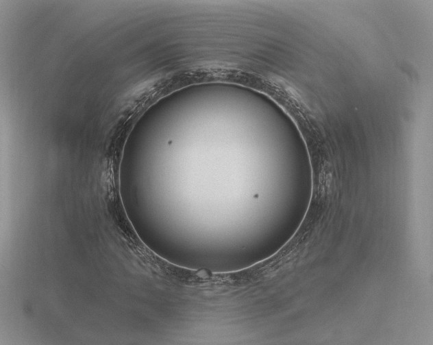 X0000116481062200912091355