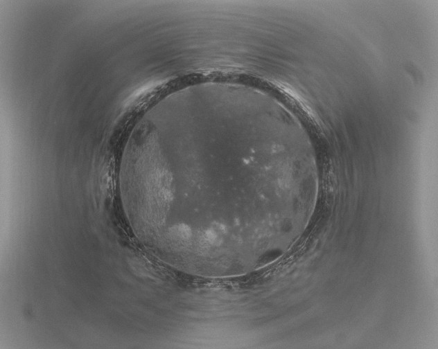 X0000116481063200912091355