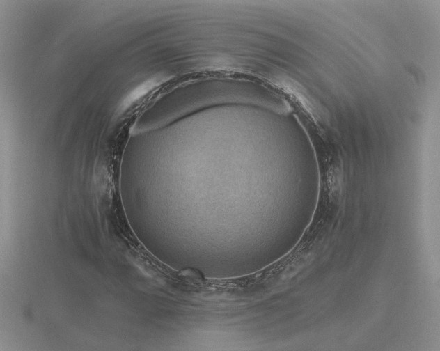 X0000116481064200912091355