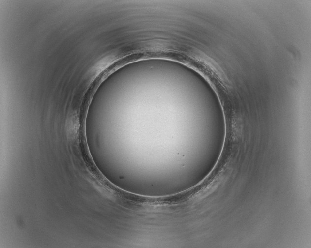 X0000116481065200912091355