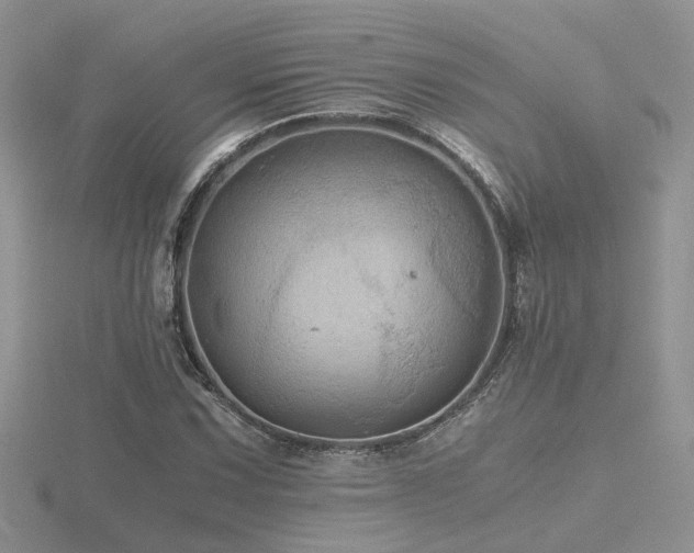 X0000116481067200912091355