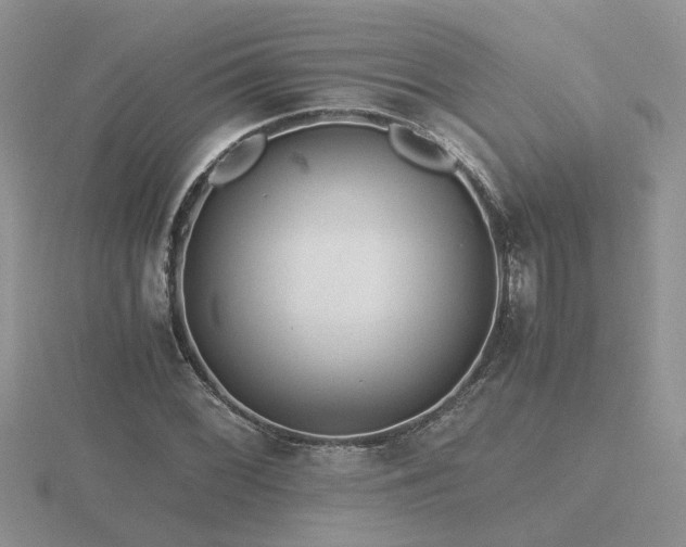 X0000116481068200912091355