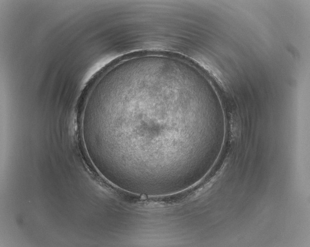 X0000116481070200912091355