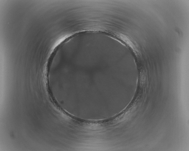 X0000116481071200912091355