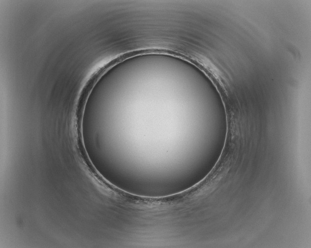 X0000116481072200912091355