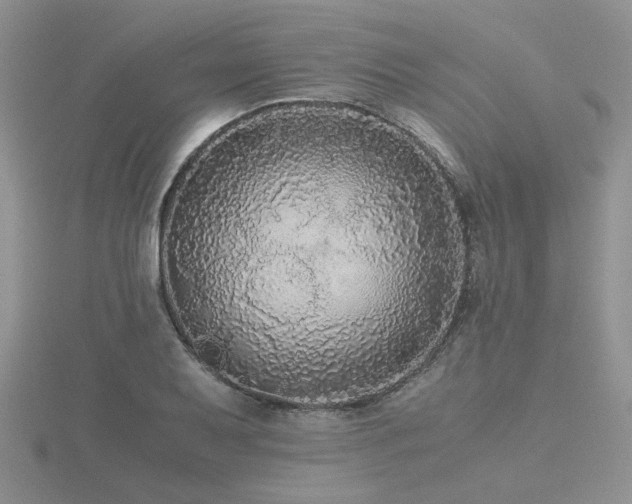 X0000116481079200912091355