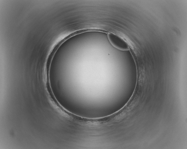 X0000116481080200912091355