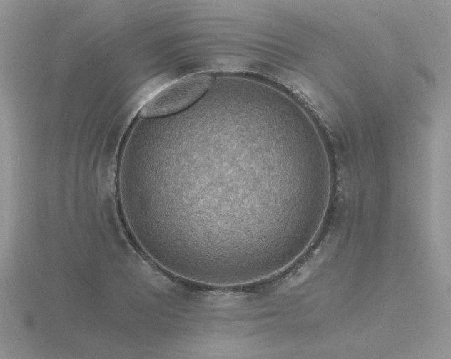 X0000116481081200912091355