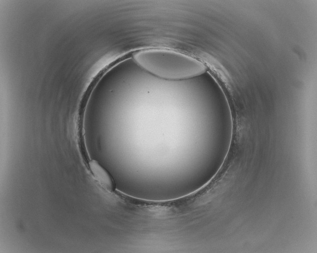 X0000116481085200912091355