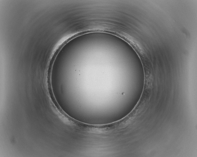 X0000116481086200912091355