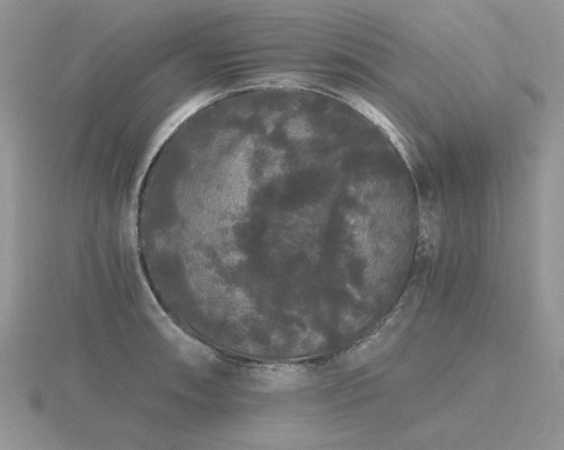 X0000116481090200912091355