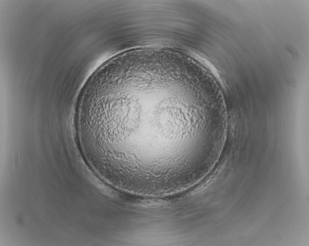 X0000116481091200912091355