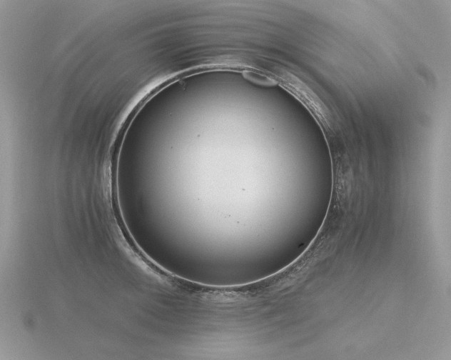 X0000116481092200912091355