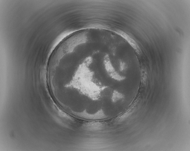 X0000116481094200912091355