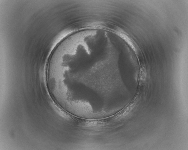 X0000116481098200912091355