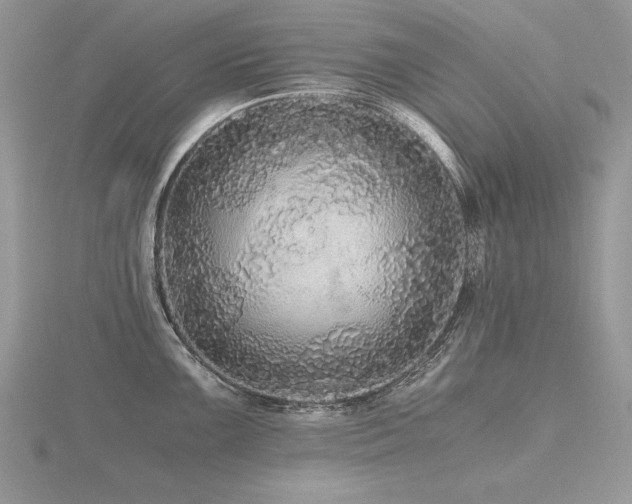 X0000116481099200912091355