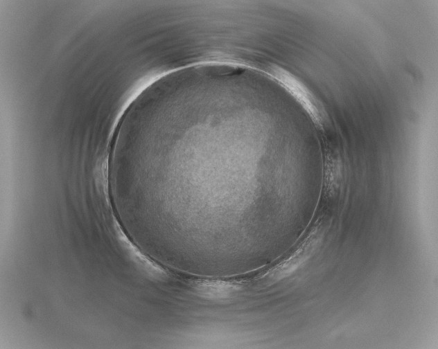 X0000116481100200912091355