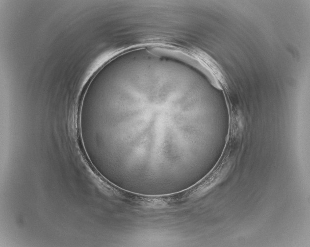 X0000116481101200912091355