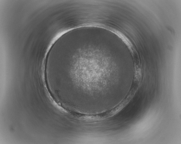 X0000116481102200912091355