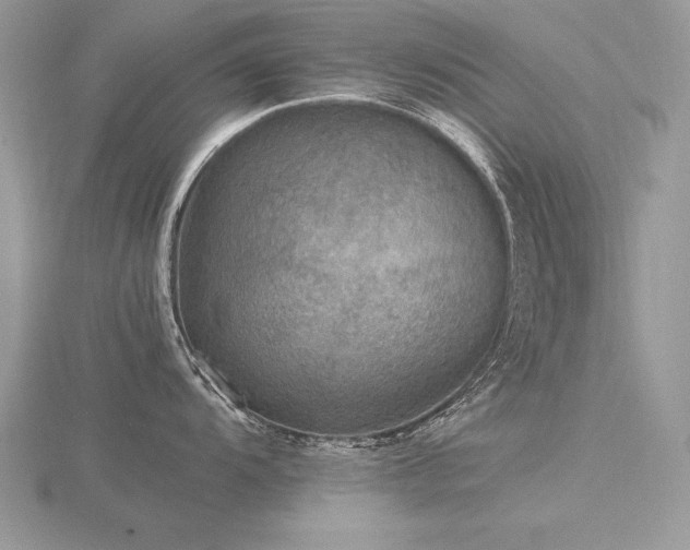 X0000116481104200912091355