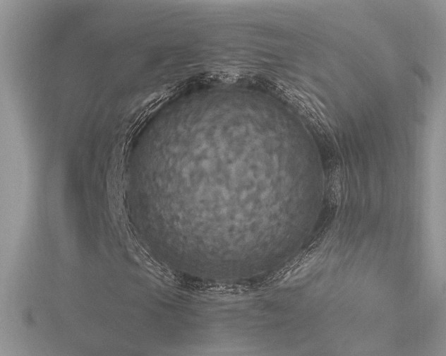 X0000116481105200912091354