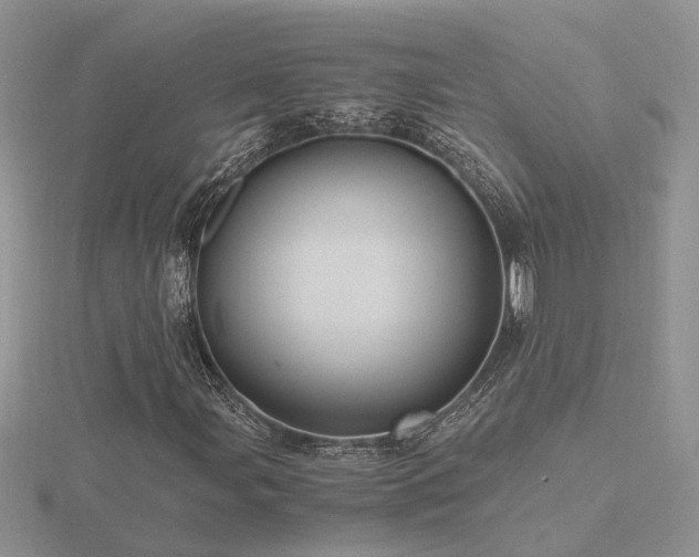 X0000116481107200912091354